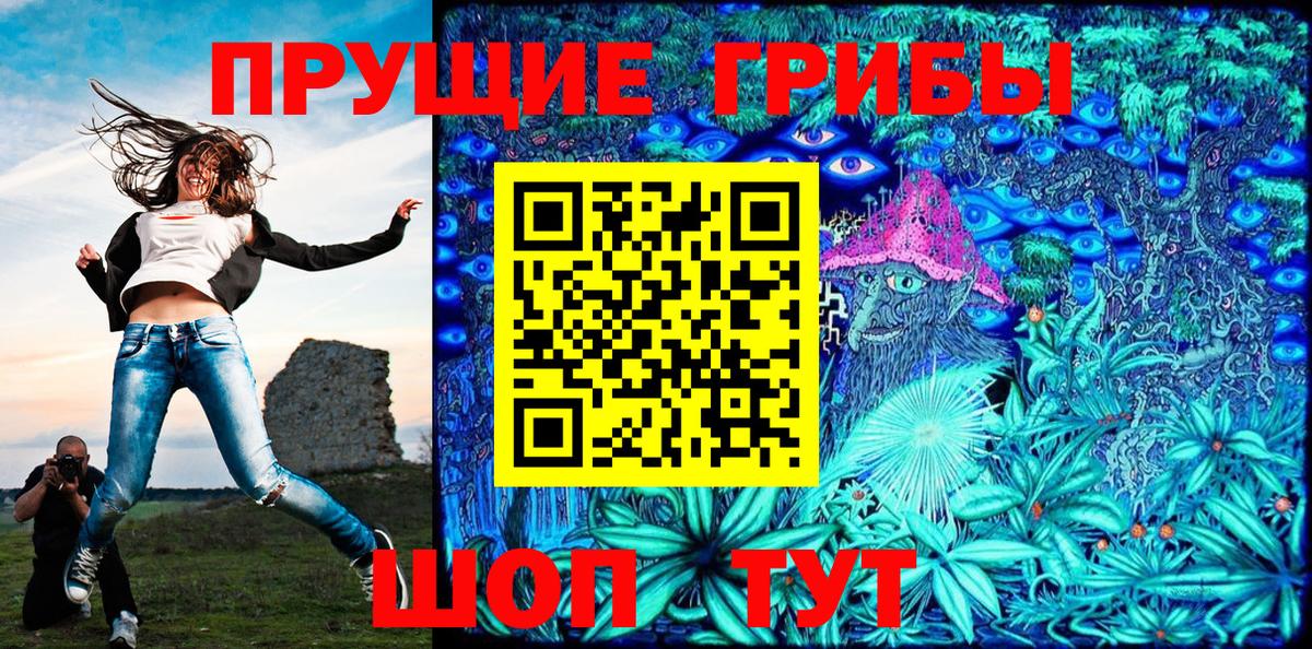 Тара  Галлюциногенные грибы Magic Shrooms  Вход с VPN 